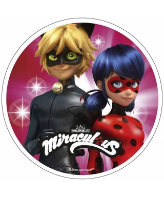 Disque Azyme Miraculous Ladybug Et Chat Noir Pour Miraculous A 3 50