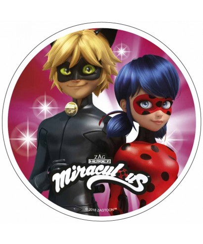 Disque Pâte à Sucre Miraculous Ladybug Et Chat Noir Pour Miraculou