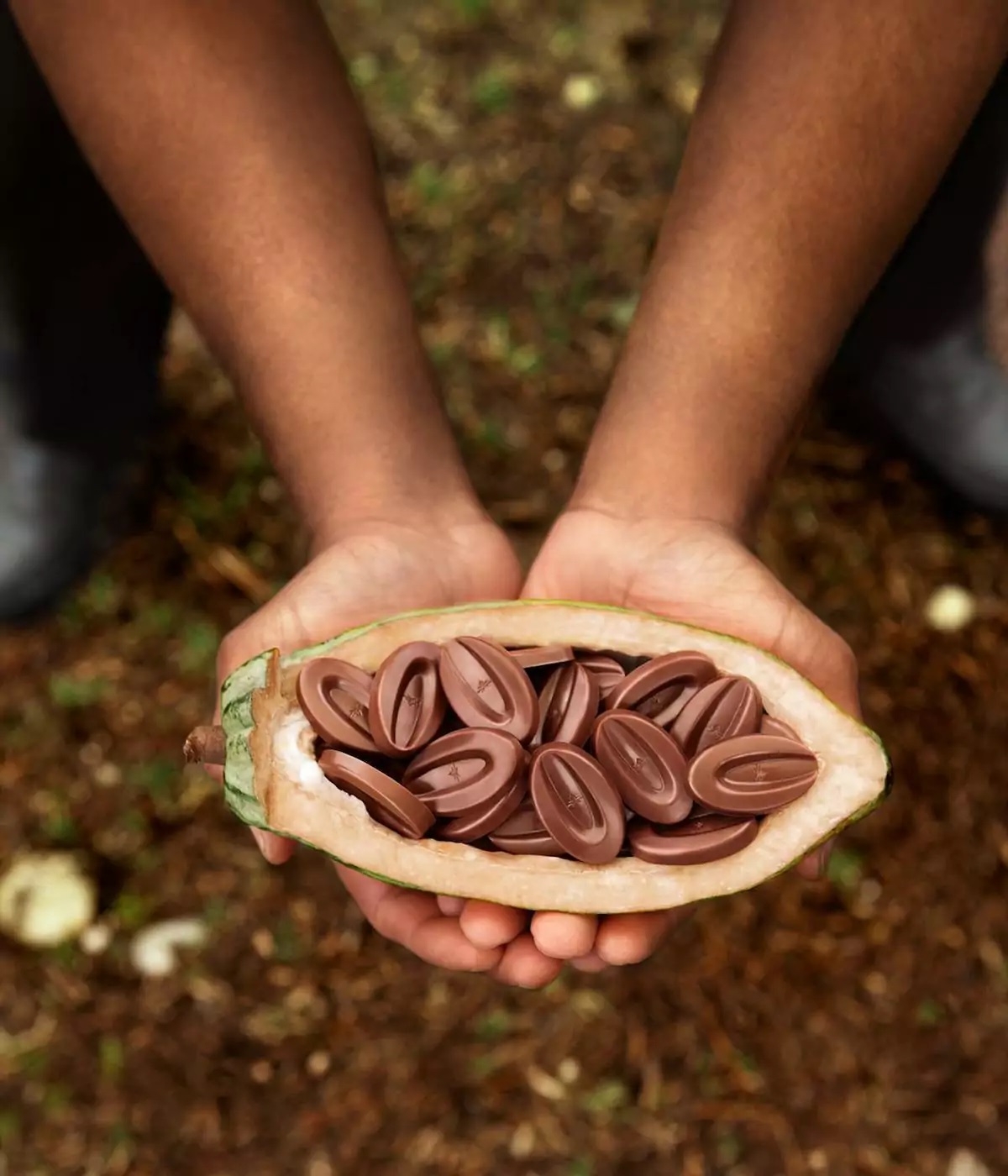 Chocolat de Couverture Noir Equatoriale 55% 1kg Valrhona -  , Achat, Vente